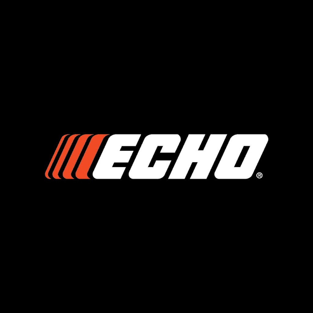 Echo